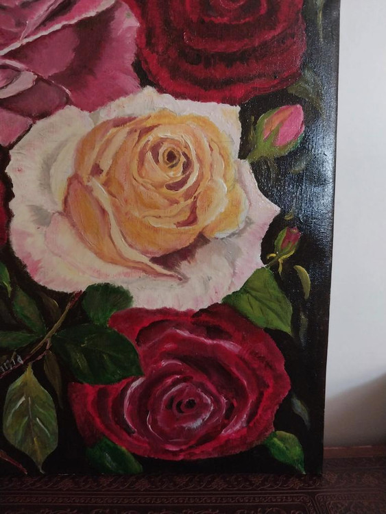 گل رز صورتی و کرم