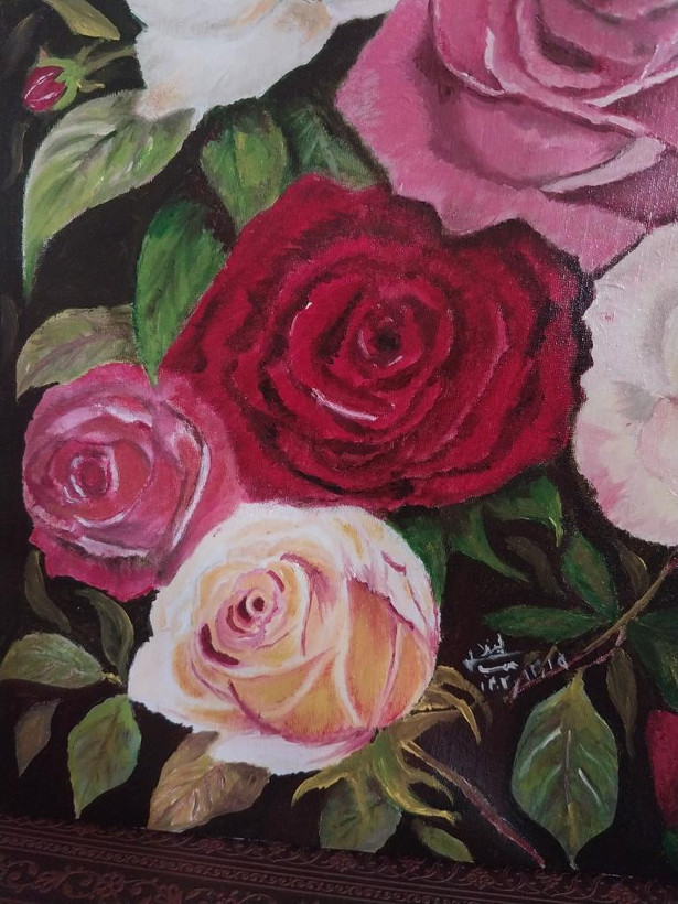 گل رز صورتی و قرمز